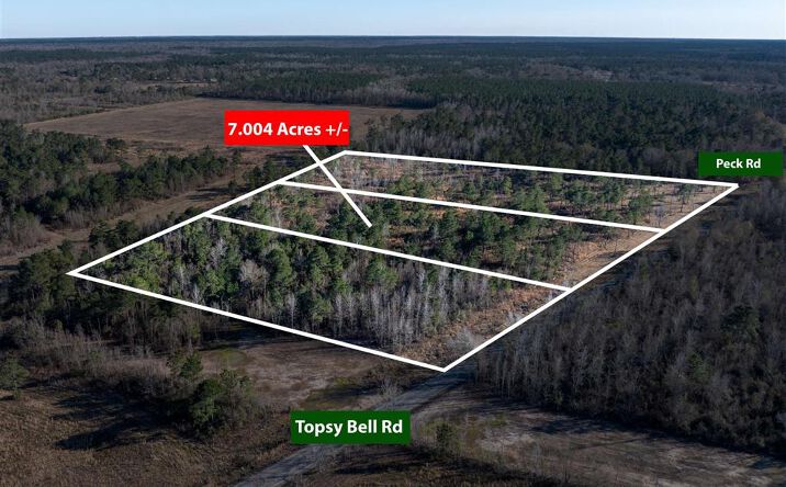 Pictures of Land property located at TBD Topsy Bel Road, Ragley, LA 70657 for sales - image #1