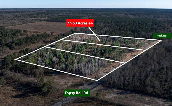Pictures of Land property located at TBD Topsy Bel Road, Ragley, LA 70657 for sales - image #1