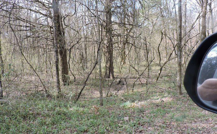 Pictures of Land property located at TBD Off Hwy 28 East, Parks, AR 72926 for sales - image #1