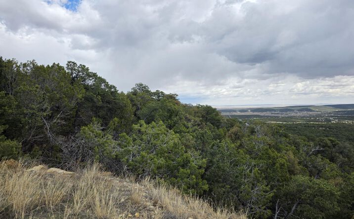 Pictures of Land property located at 196 Via Sedillo Road, Tijeras, NM 87059 for sales - image #1
