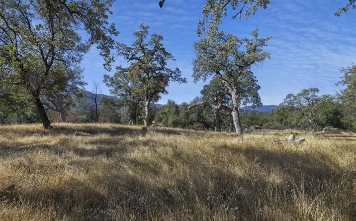 Pictures of Land property located at Village, Oakhurst, CA 93644 for sales - image #1