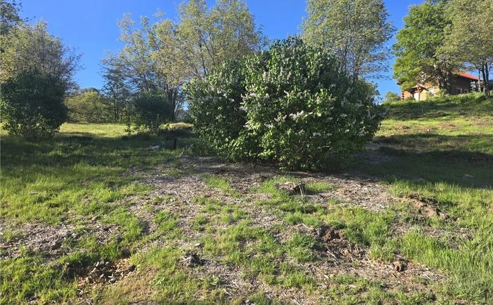 Pictures of Land property located at 29783 Redwood, Cedar Glen, CA 92321 for sales - image #1