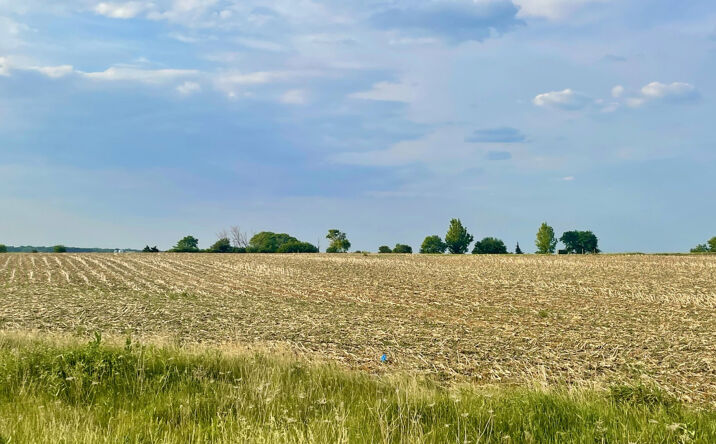 Pictures of Land property located at Lot 6 Ace Road, Princeton, IL 61356 for sales - image #1