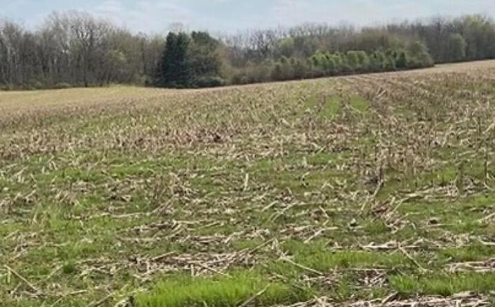 Pictures of Land property located at 0 E US Highway E, Circleville, OH 43113 for sales - image #1
