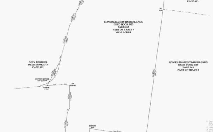 Pictures of Land property located at Woods Fork Road, Linden, TN 37096 for sales - image #1