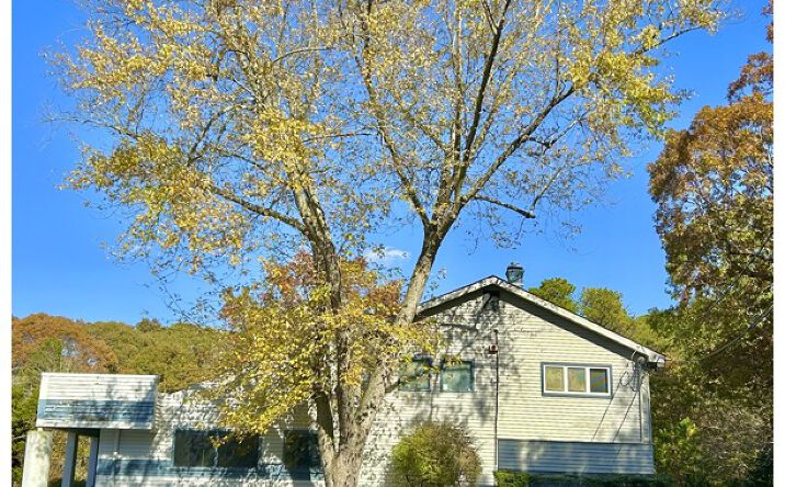 Pictures of Office property located at 3110 Ocean Heights Ave, Egg Harbor Township, NJ 08234 for sales - image #1