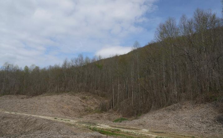 Pictures of Land property located at TBD Valley Spring Road, Rose Hill, VA 24281 for sales - image #1