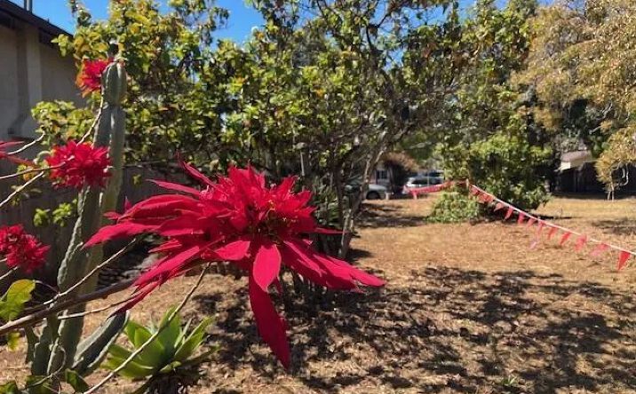 Pictures of Land property located at 3328 Roosevelt, Carlsbad, CA 92008 for sales - image #1