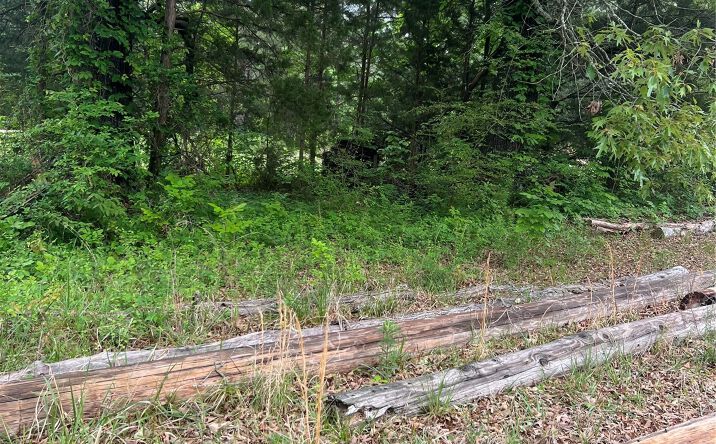 Pictures of Land property located at 1162 N County Road 4280 Road, Hugo, OK 74743 for sales - image #1