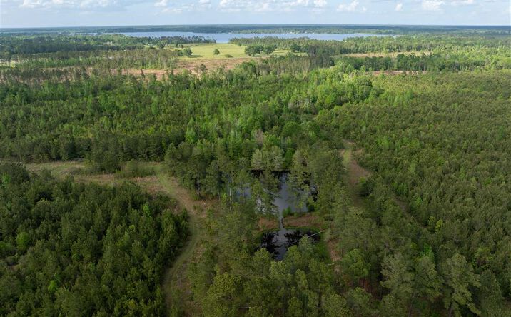 Pictures of Land property located at Odis Greene Road, DeRidder, LA 70634 for sales - image #1