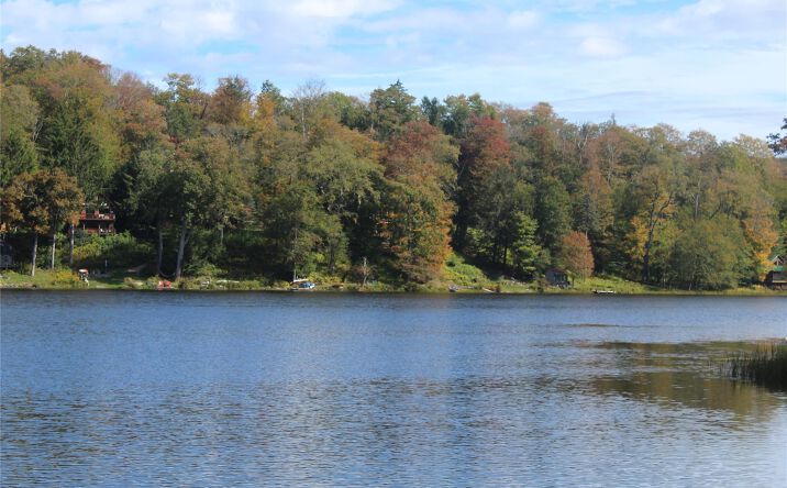 Pictures of Land, Special Purpose property located at Trout Brook Road, Fremont, NY 12736 for sales - image #1
