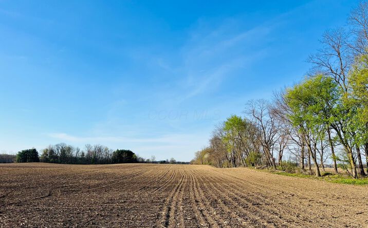 Pictures of Land property located at 0 Cable Road, Pataskala, OH 43062 for sales - image #1