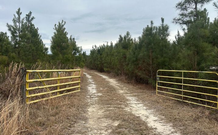 Pictures of Land property located at Landing Rd, Sylvania, GA 30467 for sales - image #1