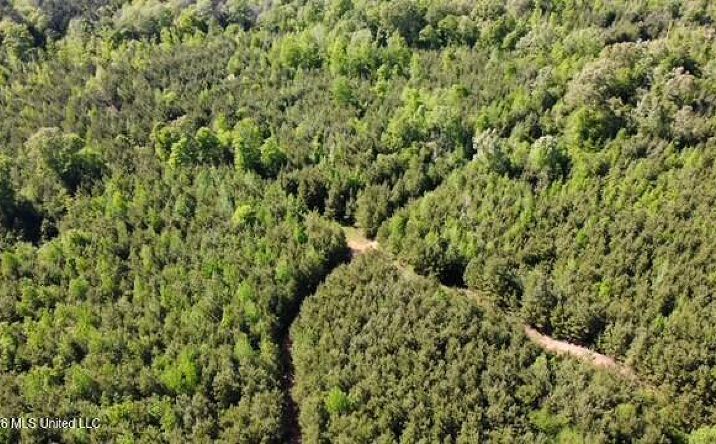 Pictures of Land property located at Auburn Drive Southwest, Bogue Chitto, MS 39629 for sales - image #1
