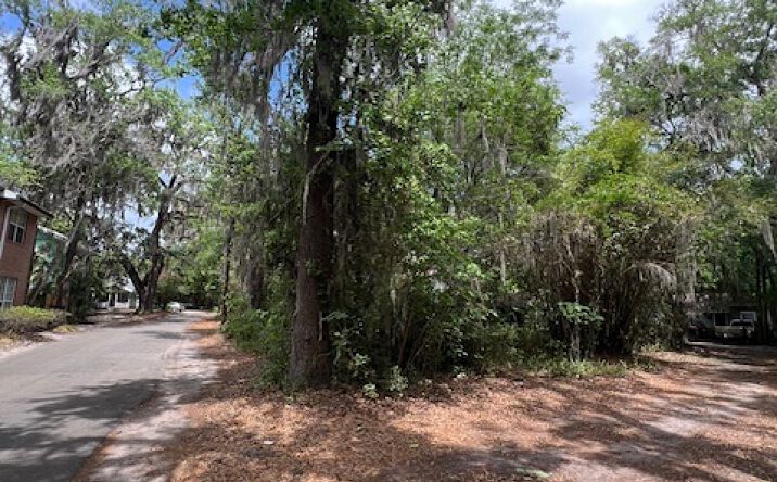 Pictures of Multifamily, Mixed Use, Land property located at 130 NW 9th Terrace, Gainesville, FL 32601 for sales - image #1