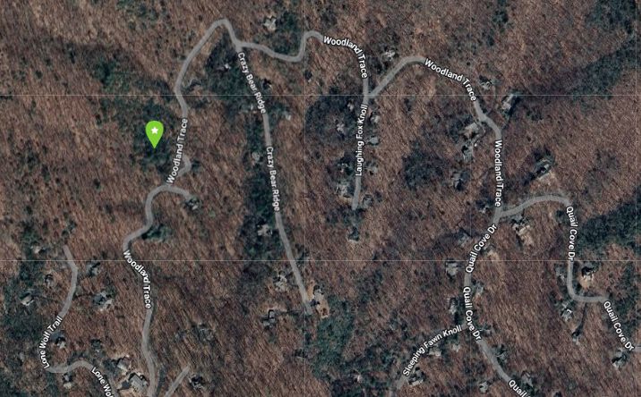 Pictures of Land property located at 615 Woodland Trace, Dawsonville, GA 30534 for sales - image #1