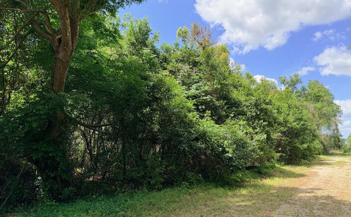 Pictures of Land property located at 17170 NW 73rd Ter, Fanning Springs, FL 32693 for sales - image #1