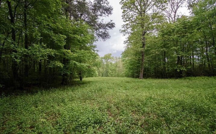 Pictures of Land, Multifamily property located at TBD Keno Rd., Laurel Fork, VA 24352 for sales - image #1