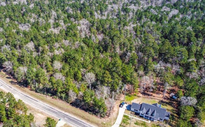Pictures of Retail property located at Fire Sky Road, Huntsville, TX 77340 for sales - image #1