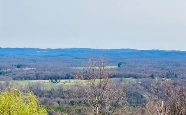 Pictures of Special Purpose property located at 2355 Stringtown Road, Hico, WV 25854 for sales - image #1