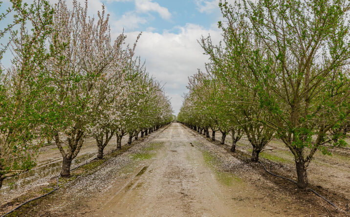 Pictures of Land property located at 1707 W Bowman Rd, French Camp, CA 95231 for sales - image #1