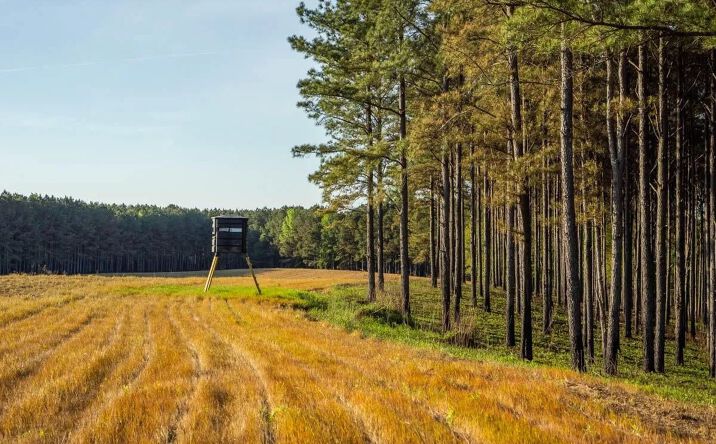 Pictures of Land property located at Weir-Highpoint Rd. / Hopewell Rd., 71221, MS 39772 for sales - image #1