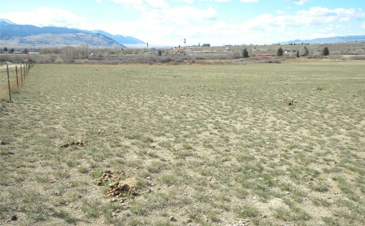 Pictures of Land property located at TBD Ballard Lane, Whitehall, MT 59759 for sales - image #1
