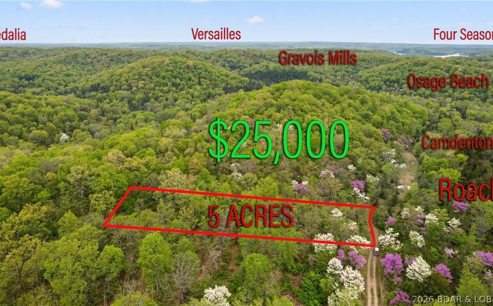 Pictures of Land, Multifamily property located at Copperhead Holler, Roach, MO 65787 for sales - image #1