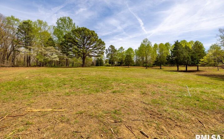 Pictures of Land property located at Dutton Chapel Road, Golconda, IL 62938 for sales - image #1