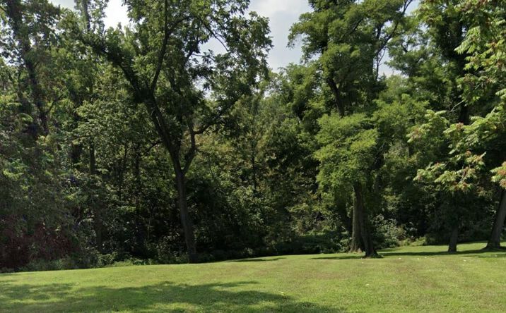 Pictures of Land, Special Purpose property located at S bluff, Nauvoo, IL 62354 for sales - image #1
