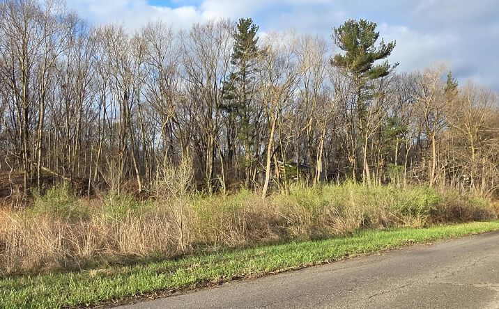 Pictures of Land property located at 1083 N Wayne Street, Gary, IN 46403 for sales - image #1
