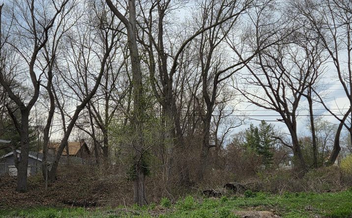 Pictures of Land property located at 7506-10 Indian Boundary, Gary, IN 46403 for sales - image #1