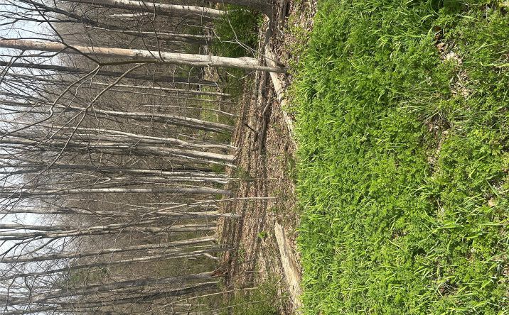 Pictures of Land property located at E Noxon Road, LaGrange, NY 12540 for sales - image #1