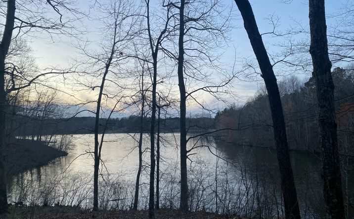 Pictures of Land property located at 920 Strike King Dr (Lot 164) Drive, Cedar Grove, TN 38321 for sales - image #1