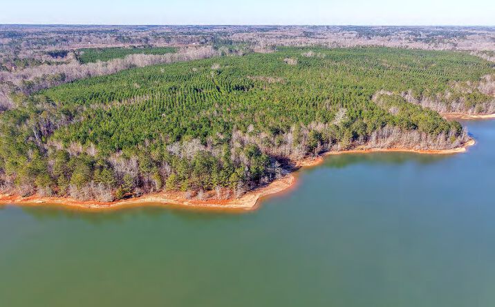 Pictures of Land property located at 1845 Rocky Creek, Hampton, GA 30228 for sales - image #1