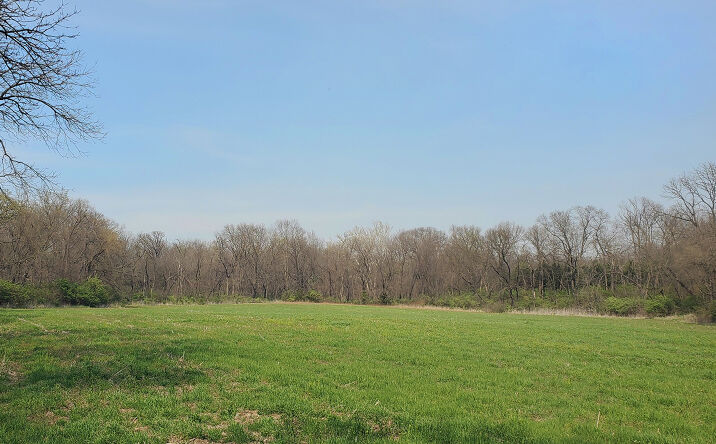 Pictures of Land property located at 165th & Burlingame Rd, Scranton, KS 66413 for sales - image #1