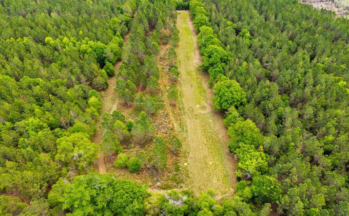 Pictures of Land property located at McMillan Rd., Minnie Giddens Rd. & Lenox Alapaha Rd., Lenox, GA 31637 for sales - image #1