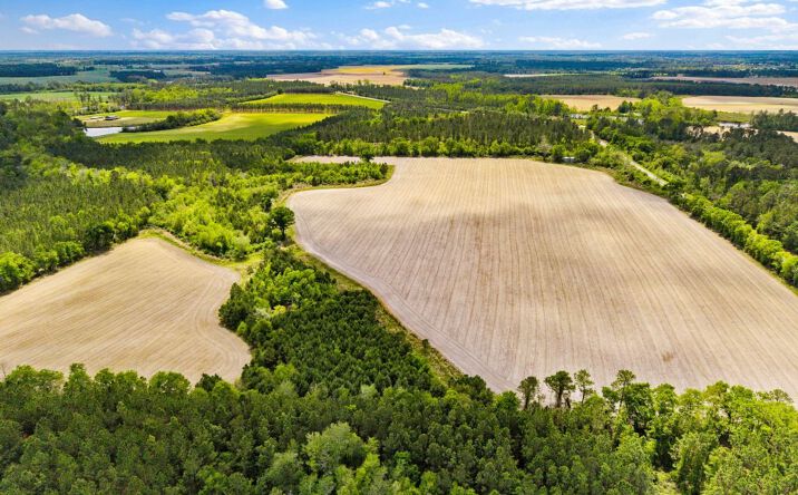 Pictures of Land property located at McMillan Rd, Minnie Giddens Rd, & Lenox Alapaha Rd, Lenox, GA 31637 for sales - image #1