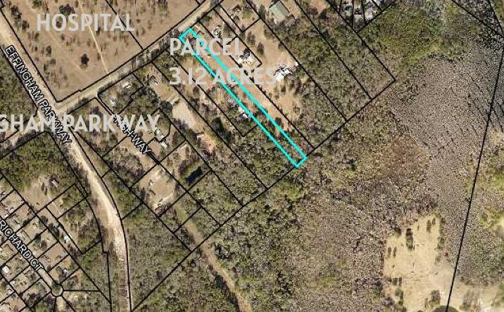 Pictures of Land, Mixed Use, Office, Retail property located at 1391 Goshen Rd, Rincon, GA 31326 for sales - image #1
