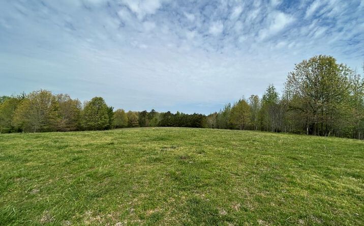 Pictures of Land property located at Elkhorn Rd, Springville, TN 38256 for sales - image #1