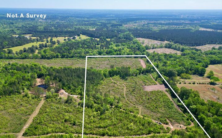 Pictures of Land, Multifamily, Special Purpose property located at 22.23 Hilt Fornea Rd, Poplarville, MS 39470 for sales - image #1