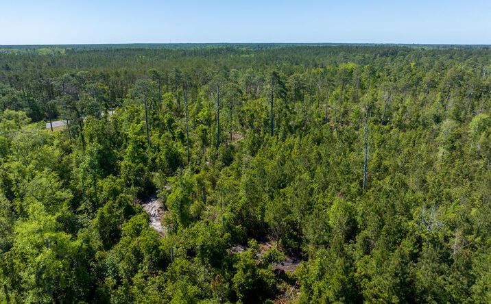 Pictures of Land property located at Knights Academy Rd, Valdosta, GA 31605 for sales - image #1