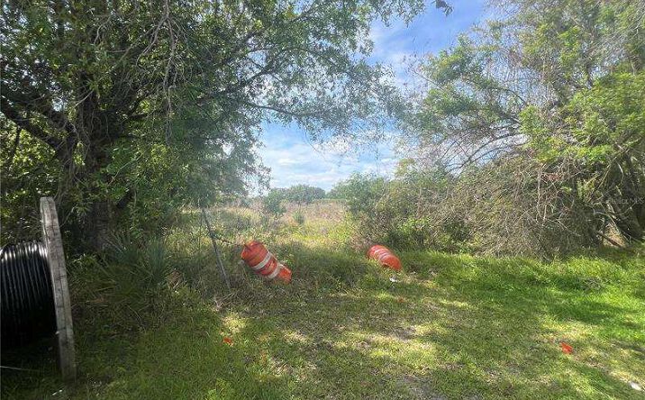 Pictures of Land property located at 0 Ree Ln, Kissimmee, FL 34741 for sales - image #1