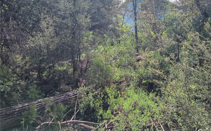 Pictures of Land property located at 53309 Road 432, Bass Lake, CA 93604 for sales - image #1