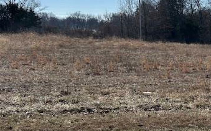 Pictures of Land property located at 1.73 Acres Main Plaza Drive, Wentzville, MO 63385 for sales - image #1