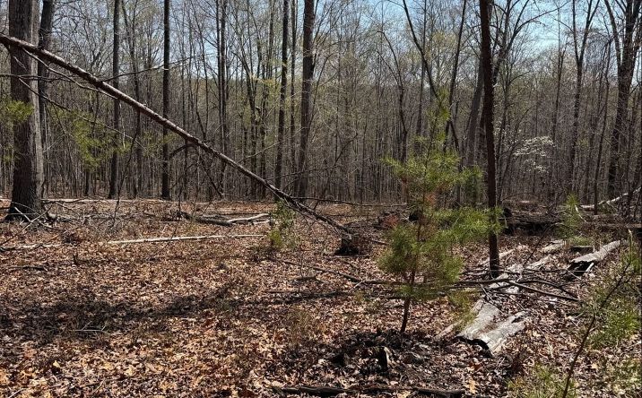 Pictures of Land property located at 0 Logwood Ln, Huddleston, Va, 24104, Huddleston, VA 24104 for sales - image #1