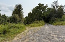31667969