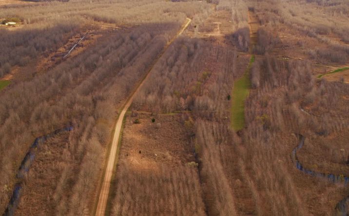 Pictures of Land property located at 1803 Highway 573, 51929, LA 71366 for sales - image #1