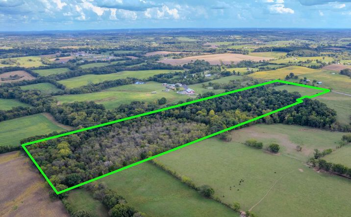 Pictures of Land property located at 0 State Hwy E, Oak Ridge, MO 63769 for sales - image #1