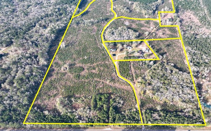 Pictures of Land property located at Tall Cotton Rd., Saratoga, TX 77585 for sales - image #1